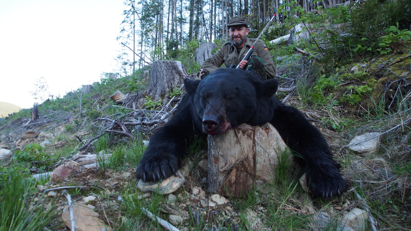 Bear hunt
